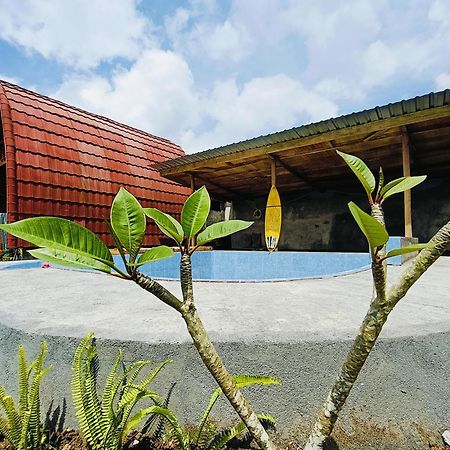 Raturinjani Homestay Selong Buitenkant foto