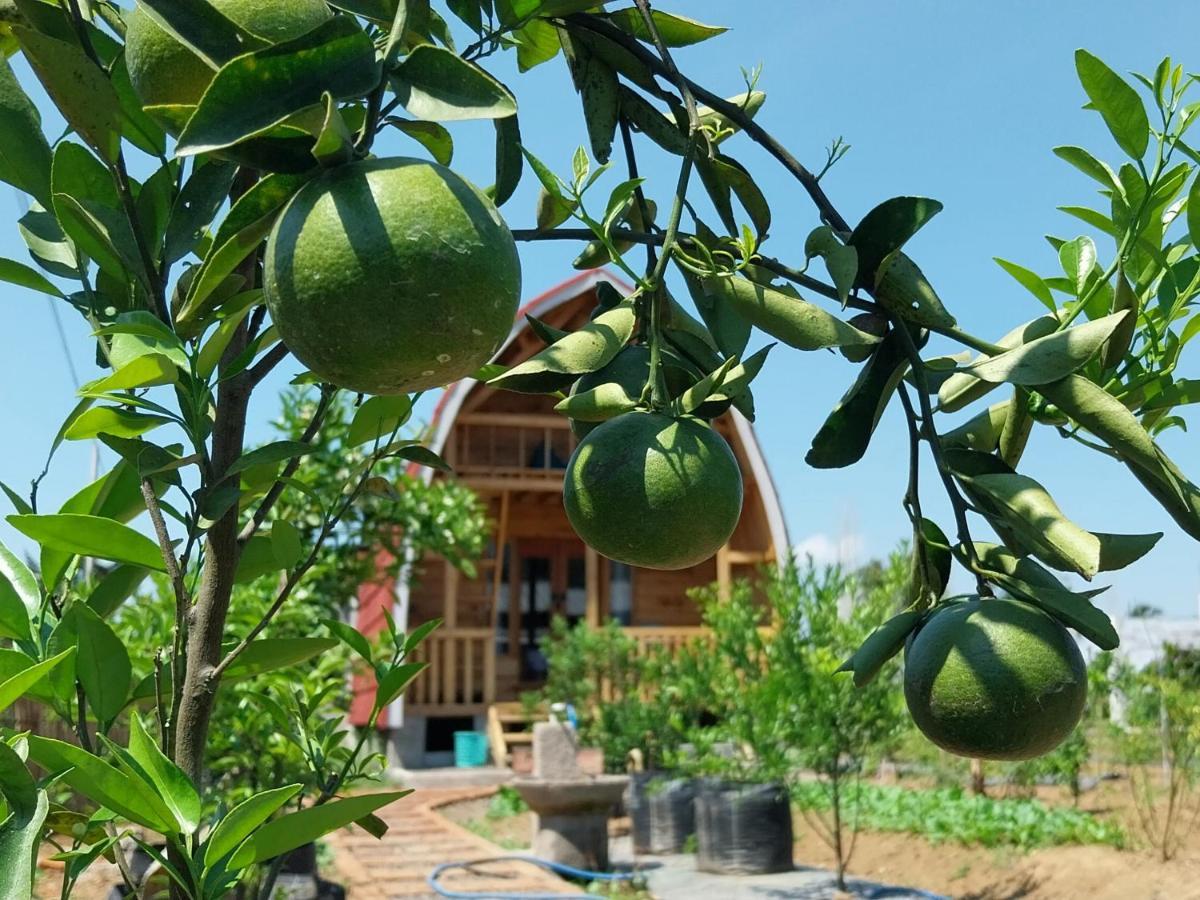 Raturinjani Homestay Selong Buitenkant foto