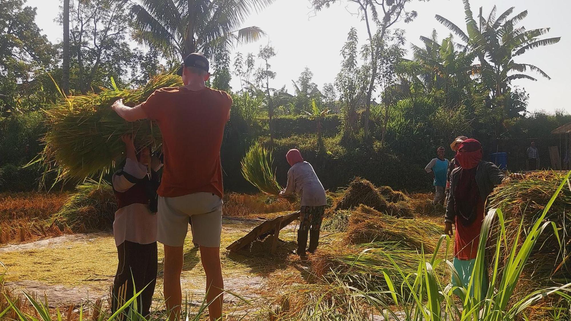 Raturinjani Homestay Selong Kamer foto