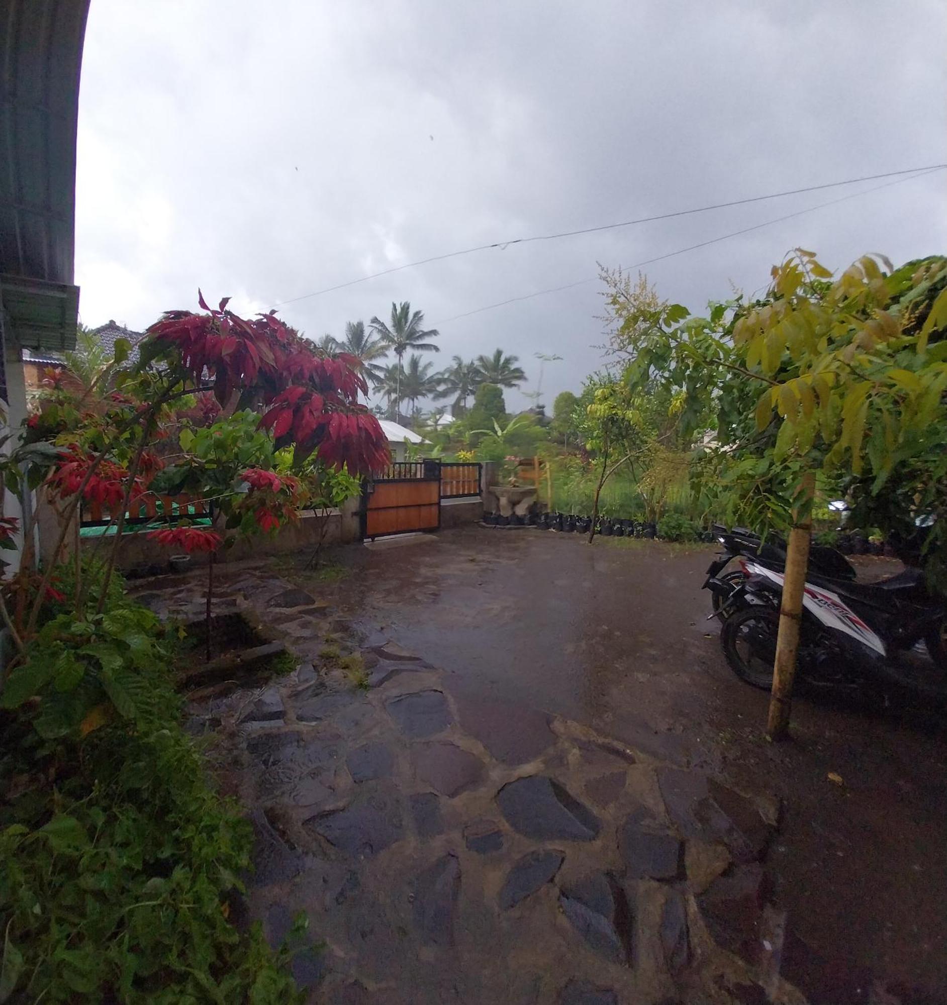 Raturinjani Homestay Selong Buitenkant foto