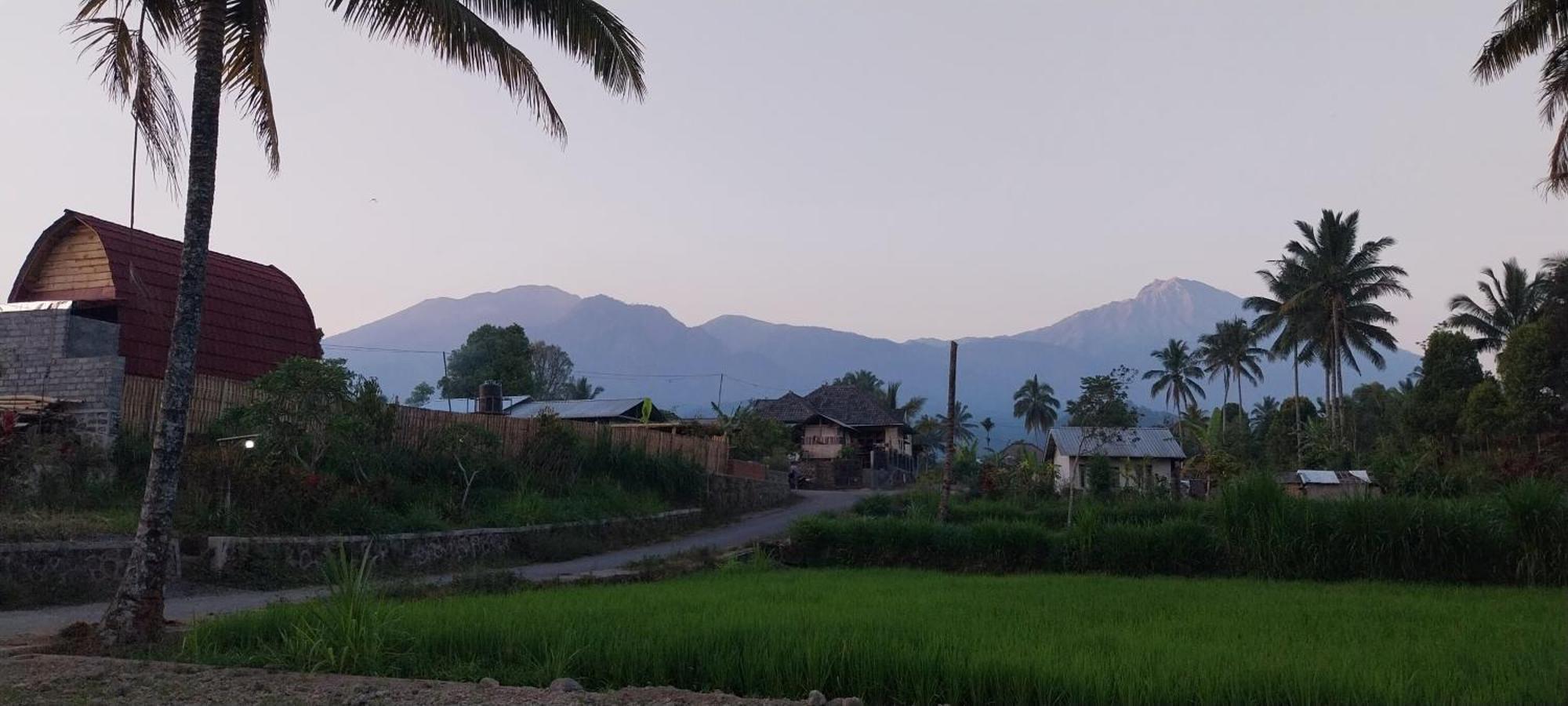 Raturinjani Homestay Selong Buitenkant foto