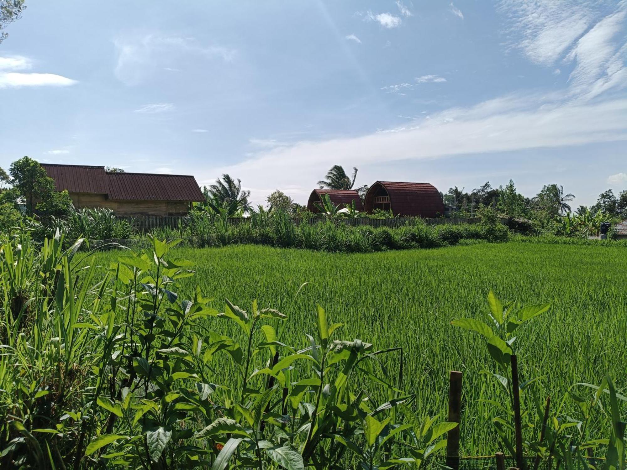 Raturinjani Homestay Selong Kamer foto
