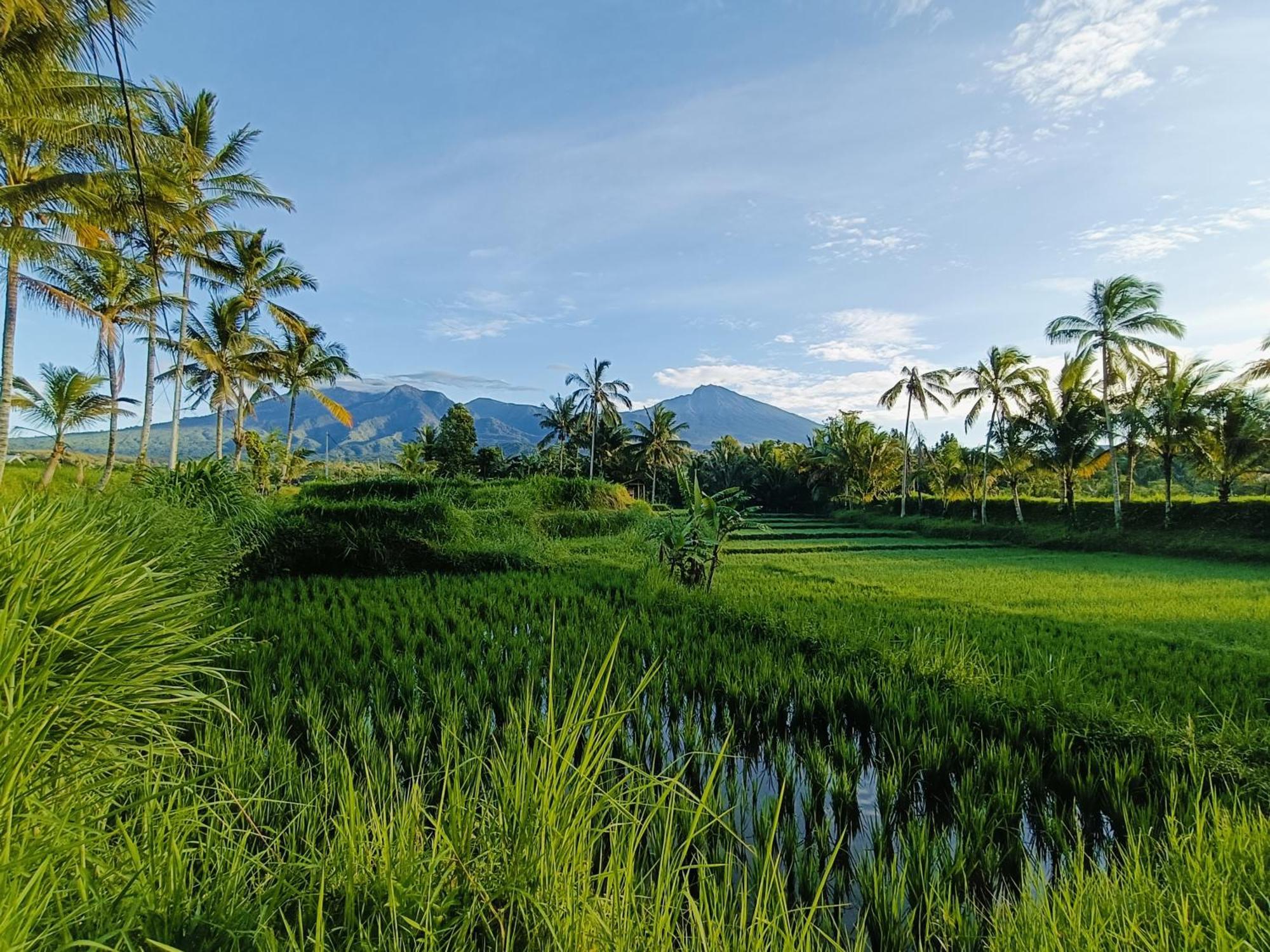 Raturinjani Homestay Selong Buitenkant foto